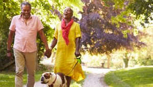 Older couple walking dog in the country